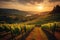 A breathtaking view of the sun gracefully setting over a picturesque vineyard nestled in the hills, An exquisite Italian vineyard