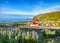 Breathtaking view of Vikurkirkja christian church in blooming lupine flowers