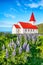 Breathtaking view of Vikurkirkja christian church in blooming lupine flowers