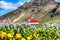 Breathtaking view of Vikurkirkja christian church in blooming lupine flowers