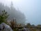 Breathtaking view of Zugspitze lake surrounded with forests in Eibsee