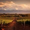 Breathtaking Vineyard Landscape in Mendoza, Argentina