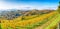 Breathtaking vineyards landscape in South Styria near Gamlitz