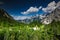 Breathtaking vista over Julian Alps in Triglav Park,Slovenia