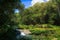 Breathtaking vista of the San Juan River in Matanzas, Cuba