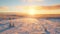 Breathtaking Winter Landscape: Sunlit Trees In Rural Finland