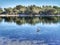 Breckenridge Channel in Wallis Lake Lake @ Forster New South Wales Australia