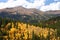 Breckenridge Fall Colors