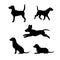 Breed of a dog beagle vector silhouettes