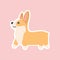 Breed walking welsh corgi sticker, kawaii funny little dog, cute face