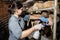 Breeder prepares sheep for milking