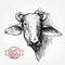 Breeding cattle. head of a water Buffalo. vector sketch on white background