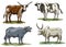 Breeding cow. animal husbandry. livestock vector illustration on a white