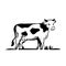 Breeding cow. Grazing cattle. Animal husbandry. Vector illustration