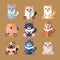 Breeds of Cats Icons. Vector Illustration