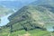 Bremm, Germany - 08 20 2020: edge of the vineyards at the forest mountain, Mosel valley