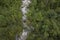 Brenton gorges and waterfall in Mis valley - from above