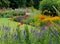 Bressingham Gardens near Diss in Norfolk UK. Colourful garden in the naturalistic planting style, with broad colour palette.