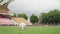 BREST, BELARUS - AUGUST 01, 2020 Close up shot of man legs kicking soccer ball on the green football field. Slow motion.