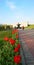 Brest Belarus fortress red flowers perspective geometry monument memory