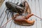 Breton alive lobster