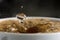 Brewing boiling water instant coffee in a mug close-up