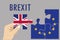 Brexit puzzle concept. British and European Union flag , referen