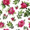 Briar Rose flowers handmade watercolor seamless pattern gentle