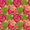 Briar, wild rose,. Seamless pattern texture of pressed dry flowers.