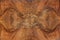 Briar wood texture background, symmetrical
