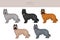 Briard clipart. Different coat colors and poses set