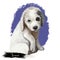 Briard portrait dog breed digital art illustration