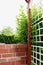 Brick-built wall and wooden fence with leaves of a bush growing through the grid - Green garden