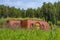 Brick cellar for storing vegetables on the slope in an unusual style