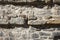 Brick gray wall with embossed rocks, strong light