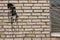 Brick grungy wall texture. Urban city background