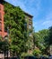 Brick house in the East Village of Manhattan covered by wisteria vines