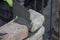 Brick mason using trowel to spread a mortar