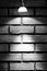 Brick Panels and Light in monochrome