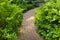 Brick path in landscaped garden