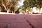 The brick path outside J. Murrey Atkins Library at UNC Charlotte