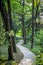 Brick path waves back and forth through trees in a park in Beijing China