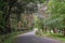 Brick road through beautiful Lagoa das Furnas Garden close to Furnas lake on SÃ£o Miguel island, Azores