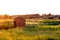 Brick Shed on Open Land