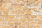 Brick from shells Texture background , wall is made of shells brick.