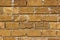 Brick from shells Texture background , wall is made of shells brick.