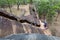 The brick stairway leading up Sigiriya Rock in Sri Lanka.