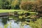 Brick and stone steps leading to a large man made pond filled with aquatic plants and edged with trees and two chairs