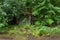 Brick stop in the forest. Old bus stop in the forest