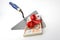 Brick trowel with money gift